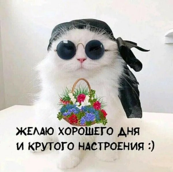 81ed4a8e9318a1c2cde461fd5c87e1da