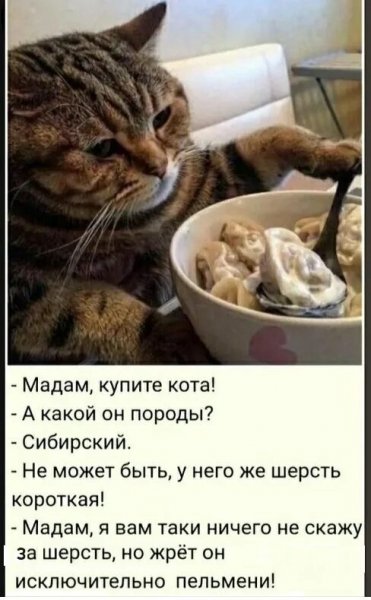 Опаньки!