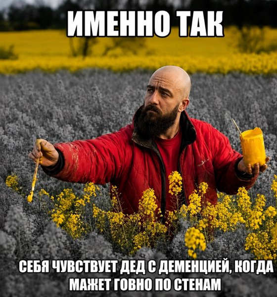 Dr pokhabov2.0 2dc9bf4d75bd484a80e80efc9b921618