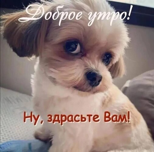 IMG-20251213-WA0005