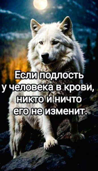 picture_404688515
