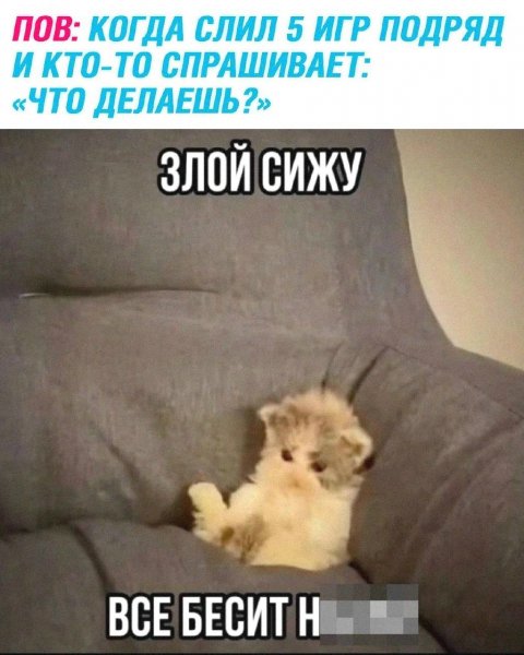 picture_417566988