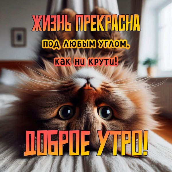 Открытка 02-05-2025 09-51-05