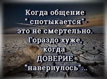 image-481