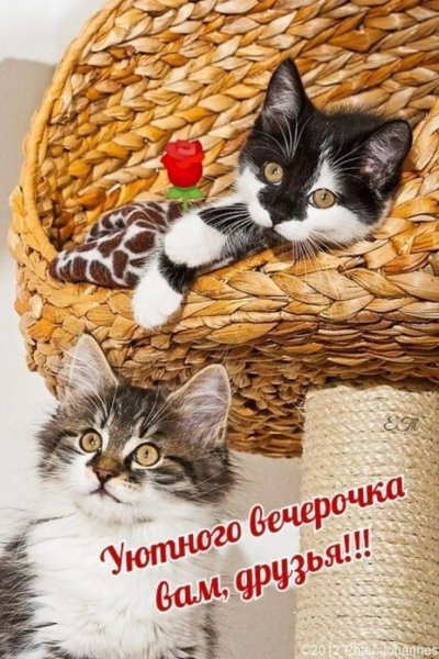 F2455a94956e262a4bbfd791c54cdee6