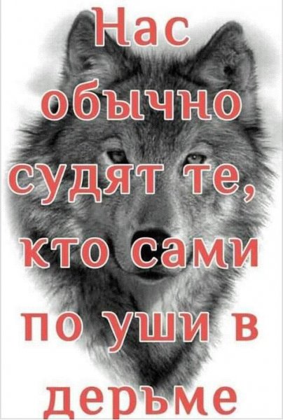 IMG 20210205 024218