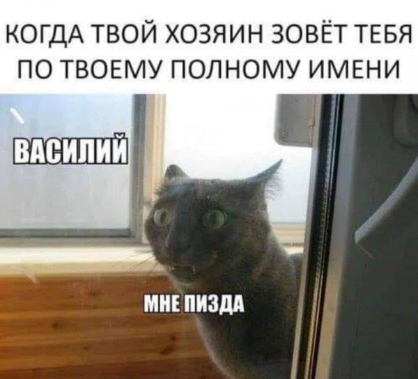 42a3f249-ac2b-4491-87b1-0eb3d79eebc9-1 all 5674