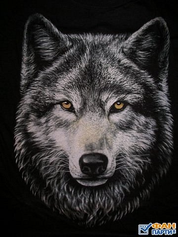 Volf pic 5