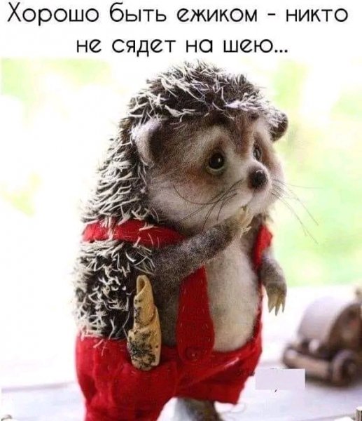 FB IMG 17091975061299566