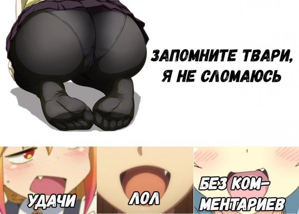 XjCPaRz6Y M