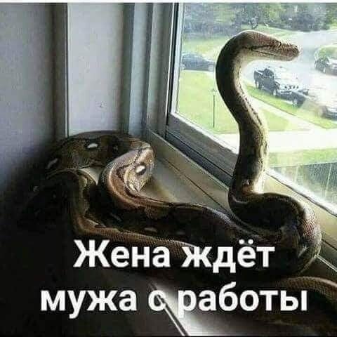 4a9bd0d13d4e41983