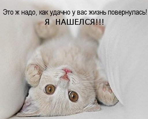 Я нашелся!!!