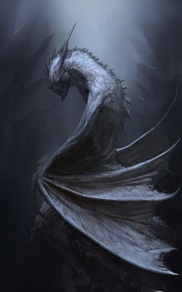 Dragons