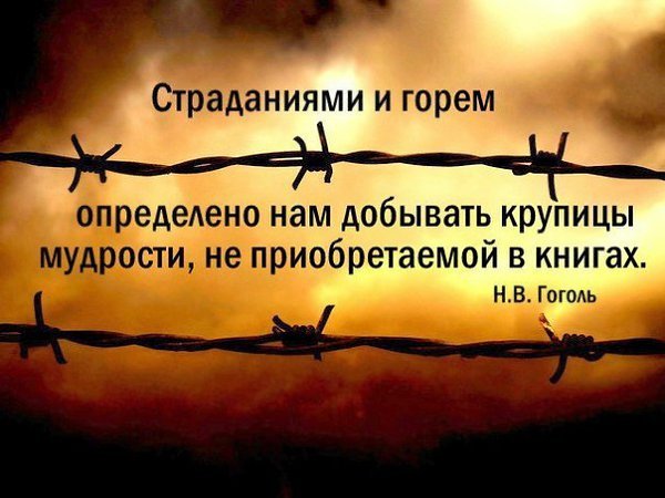 Мудрость