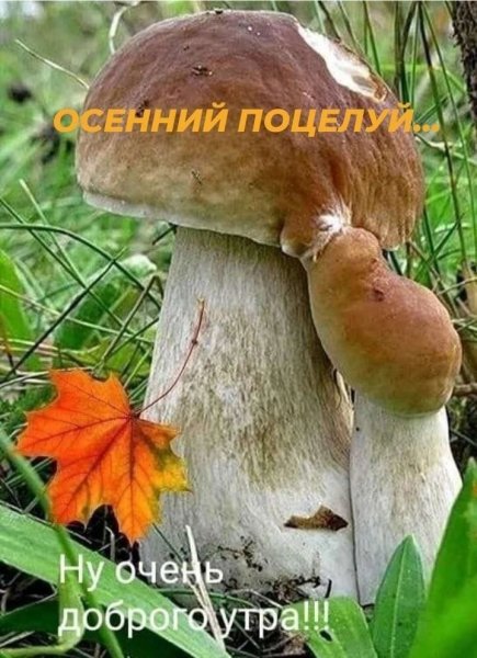 Изображение viber 2022-09-05 22-05-52-022