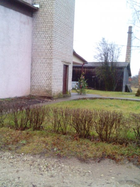 picture_110468576