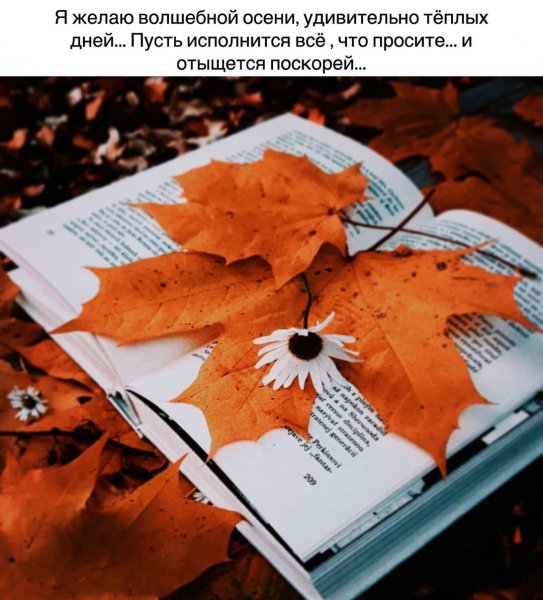 marinaalekminskaya 20200908 51