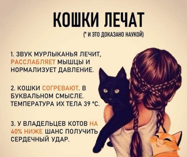 FB IMG 1609781880765