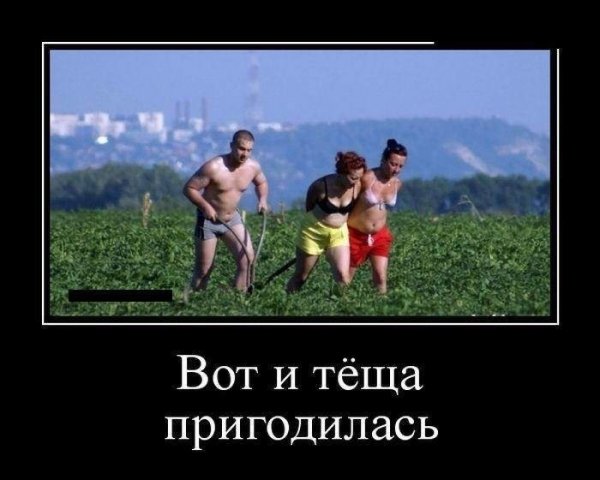 pics