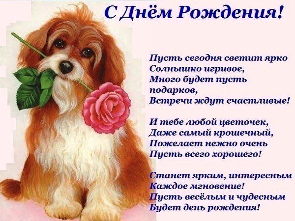 С Днем Рождения