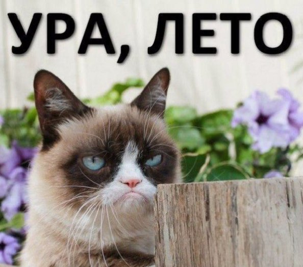 Опаньки!