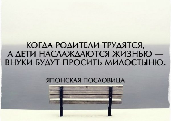 F8028c1ea3 20542242