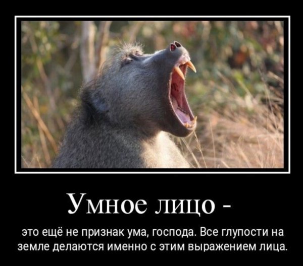 Умное лицо
