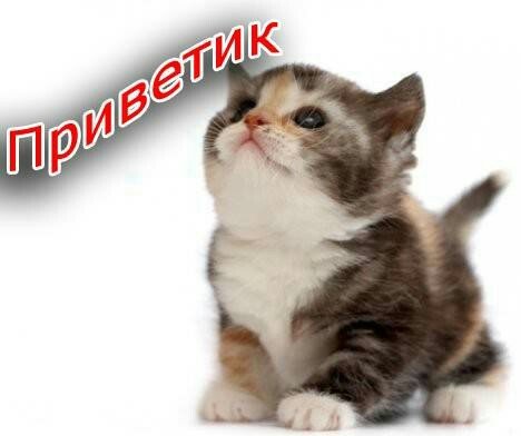 Приветик