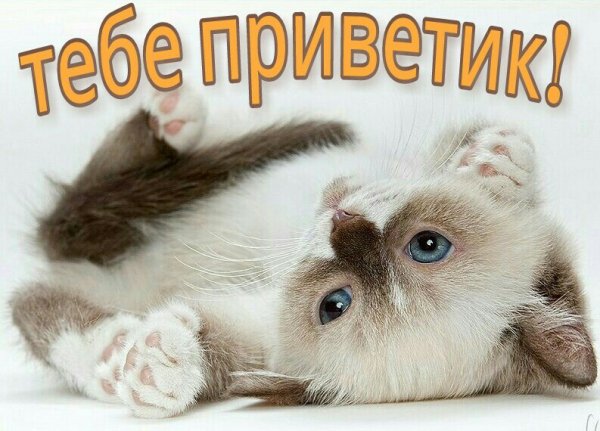 Тебе приветик