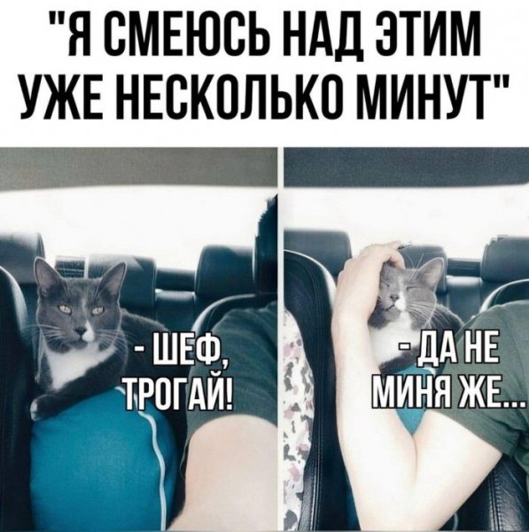 7d0b73112a 00000000
