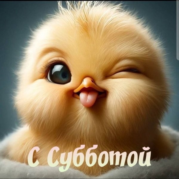 IMG-20250322-WA0020