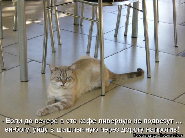 picture_414222853
