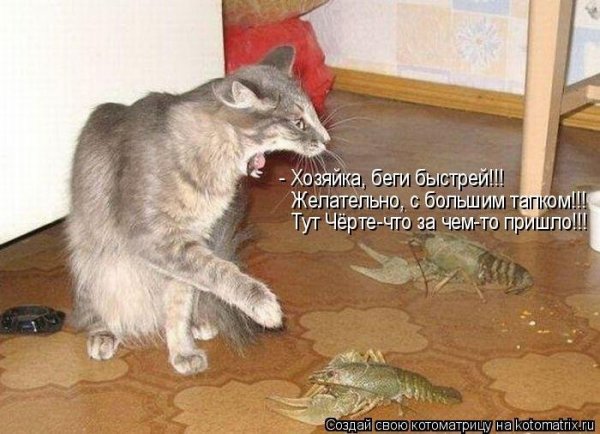picture_113831597