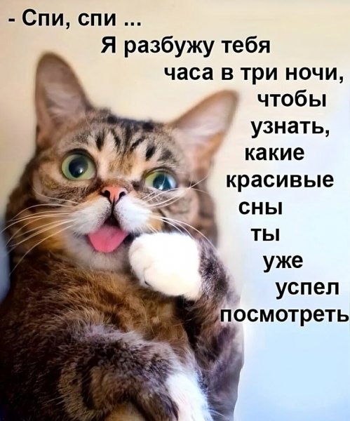 Опаньки!