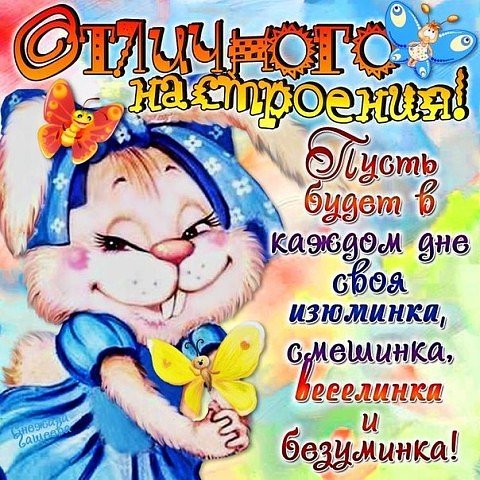 IMG 20161123 131428 55