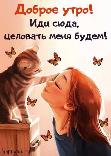 98d10ab47c273d60dd7f3b1c7b3139b2