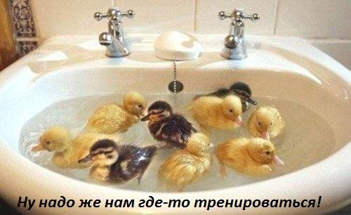 Images 6647