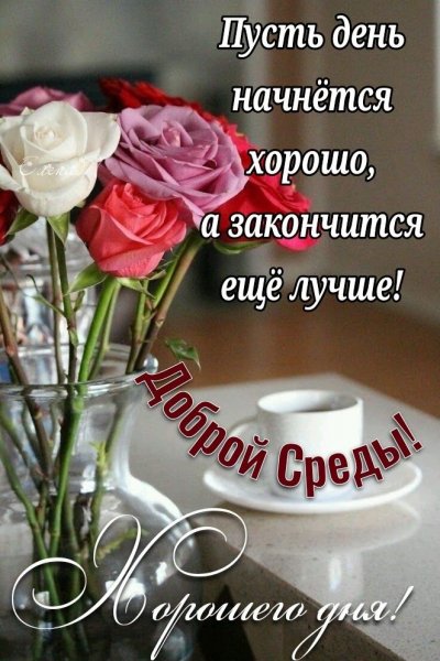 F9bccb3eba27c20a29e7cc9e90a4d57f