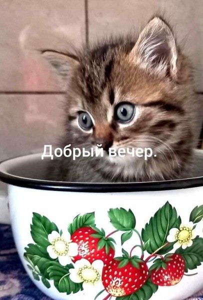 De8f4606eb9145429d1d95cfb18c7108
