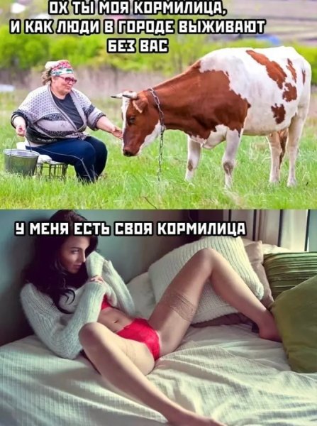 Poshlye-memy-i-chernyj-jumor-18-podborka-307-04
