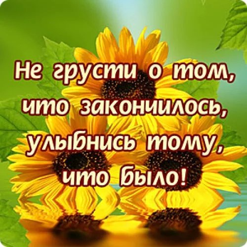 Не грусти...