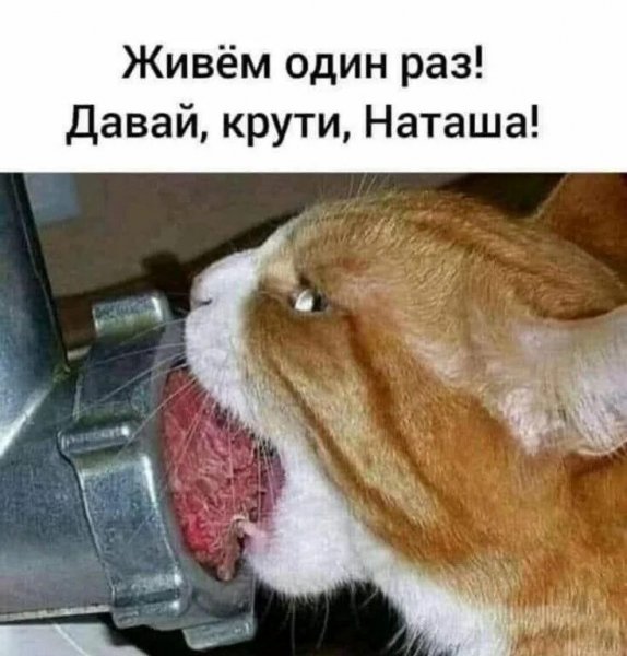 Да! ))