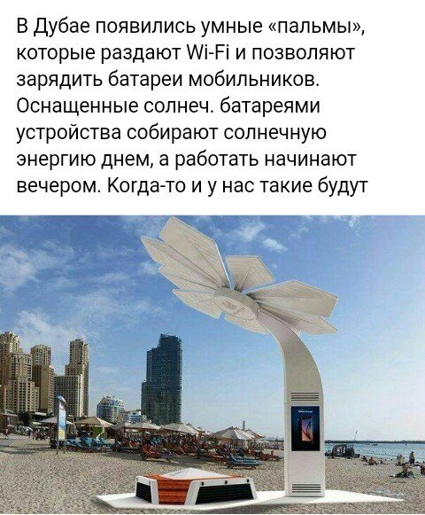 image (3) (11)