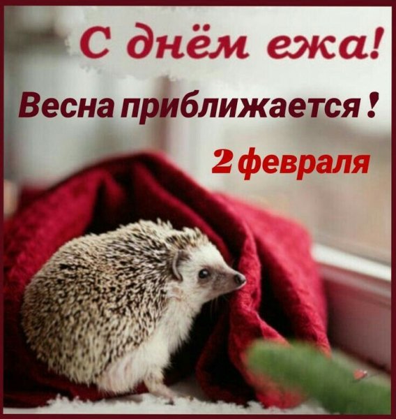 D5f3a1ed53b1fbf5d6ba3aff1d21c592