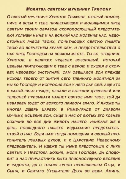 Молитва Святому мученику Трифону