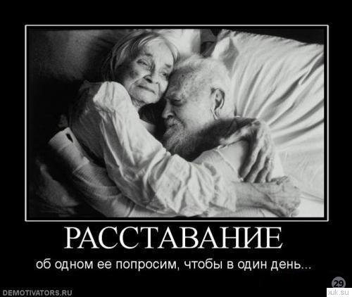 Demotivatory (30) (1)