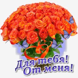 розы