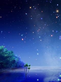 night