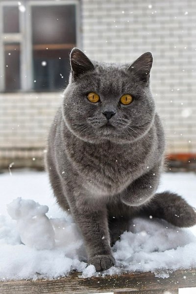 Взгляд..