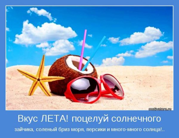 motivatory-pro-leto-28